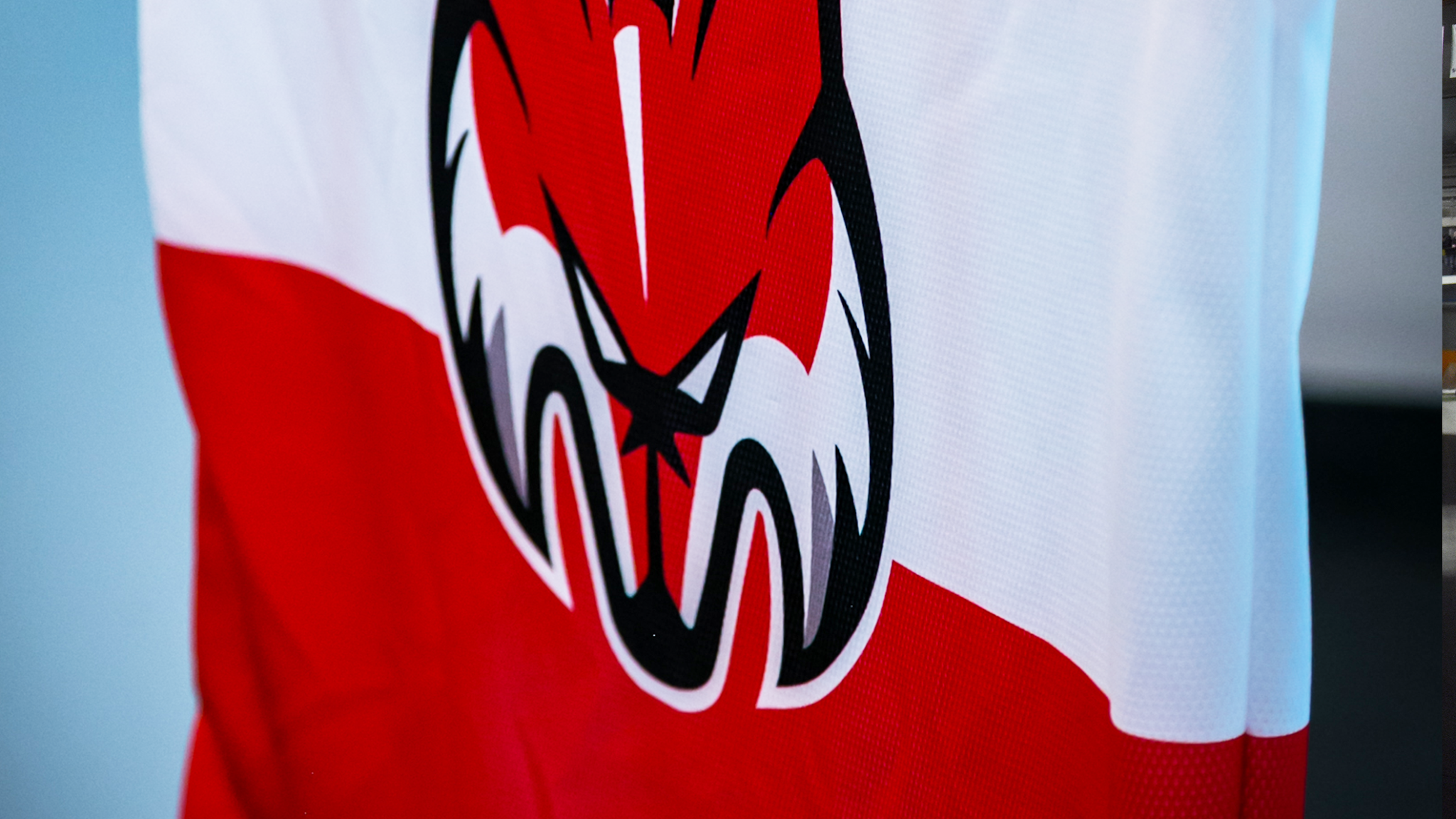 HC Bolzano - Bozen Foxes YouTube banner