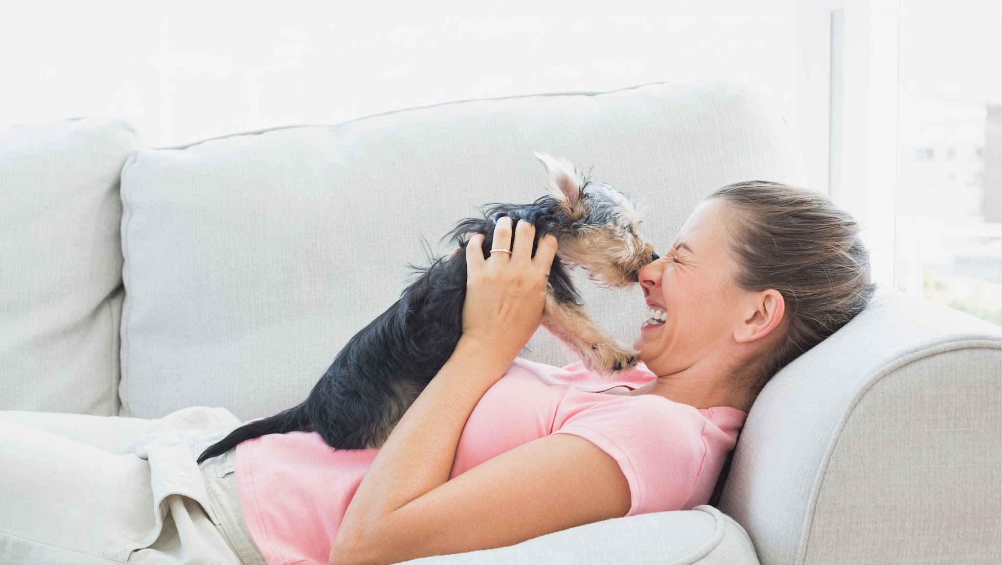 Affinity Petcare YouTube banner