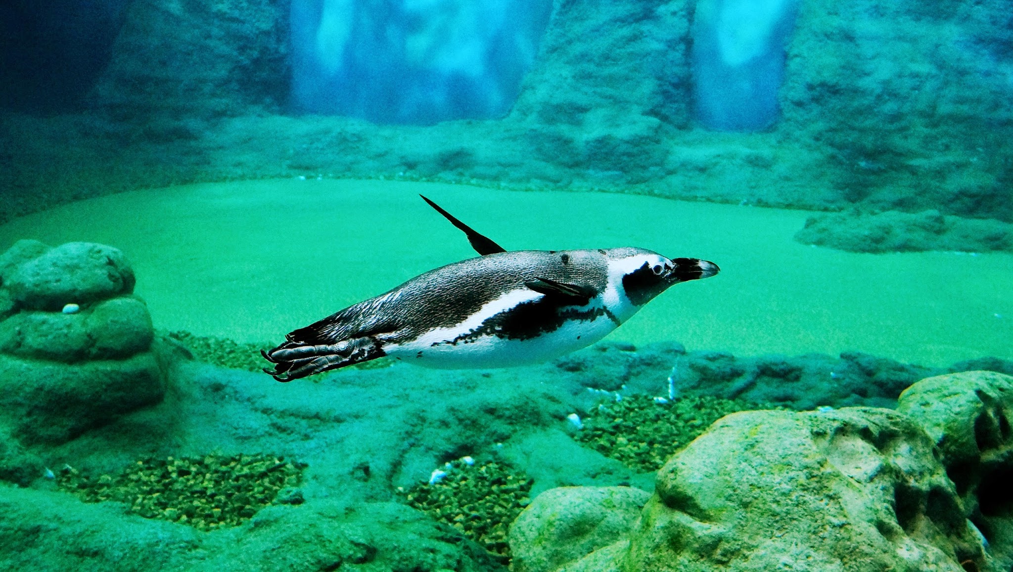 ZOO Wrocław YouTube banner