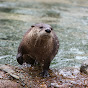 San Francisco Zoo & Gardens logo