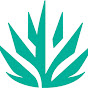 Scottsdale, AZ logo