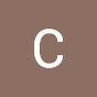 CarlZeissVisionIT logo