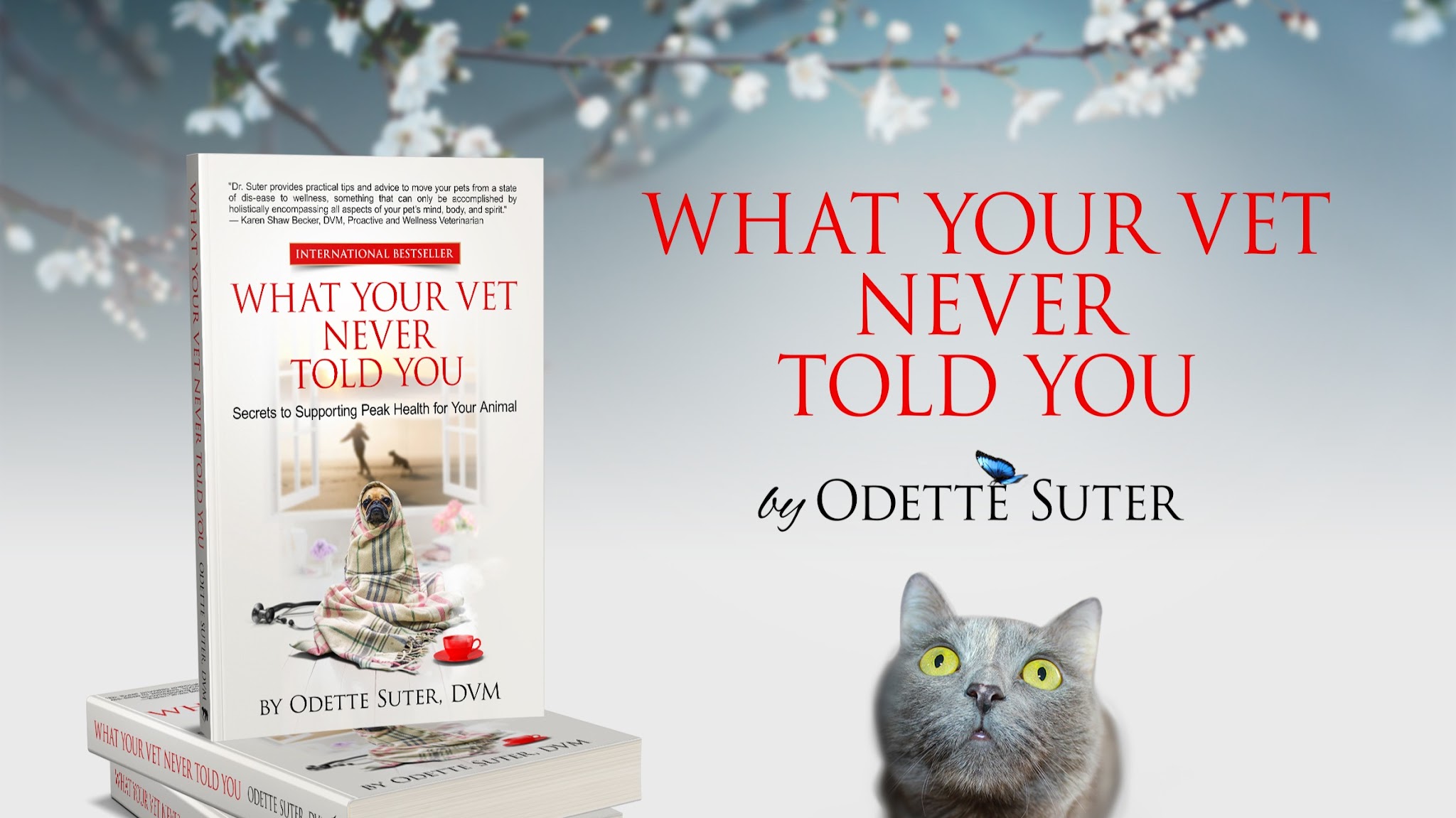Odette Suter, DVM YouTube banner