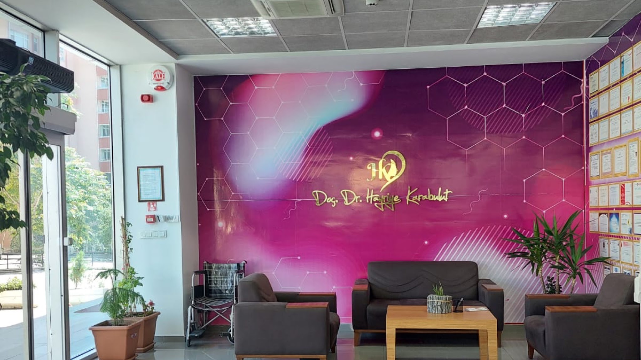 Doç.Dr.Hayriye Karabulut YouTube banner