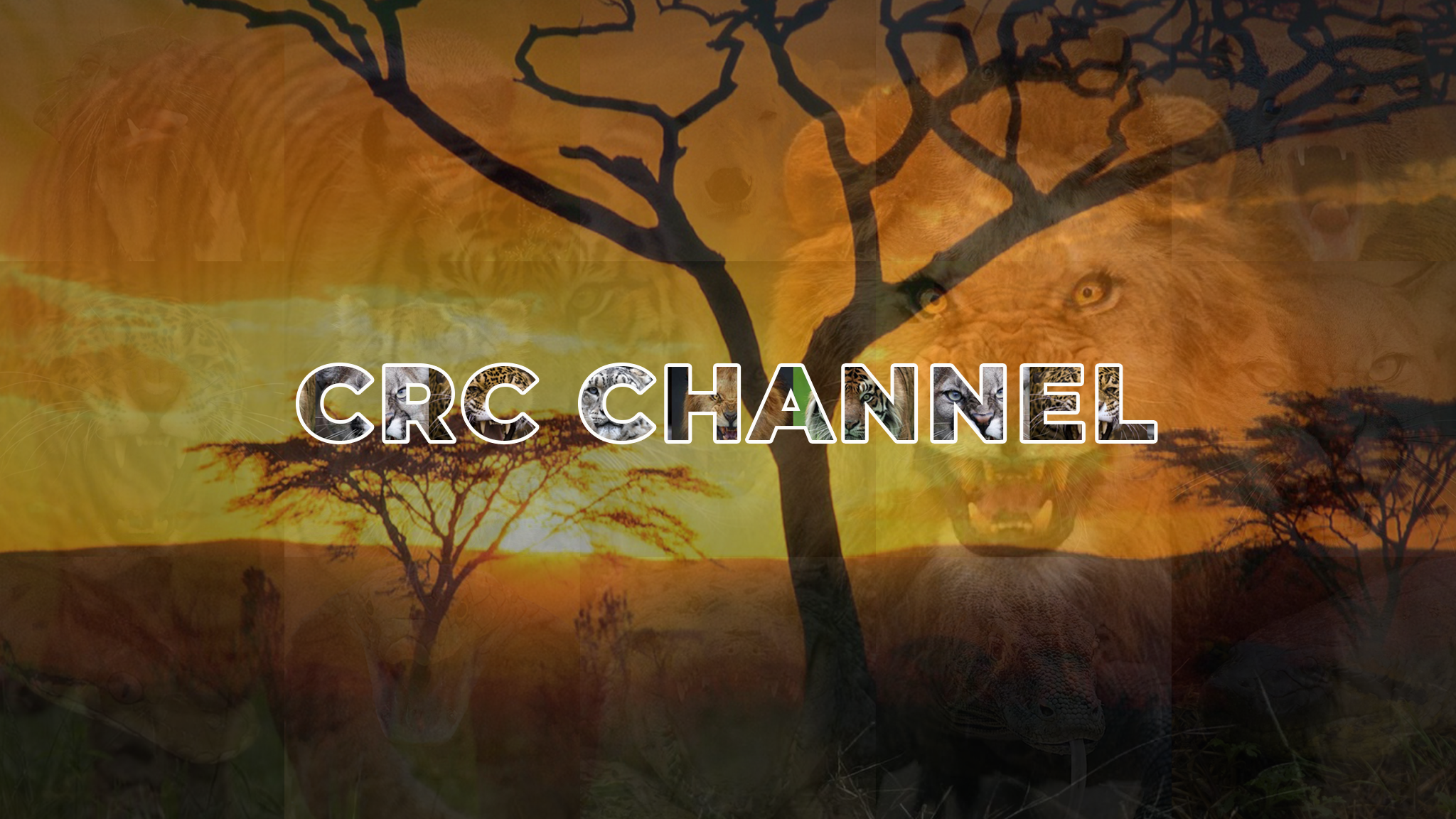CRC CHANNEL YouTube banner