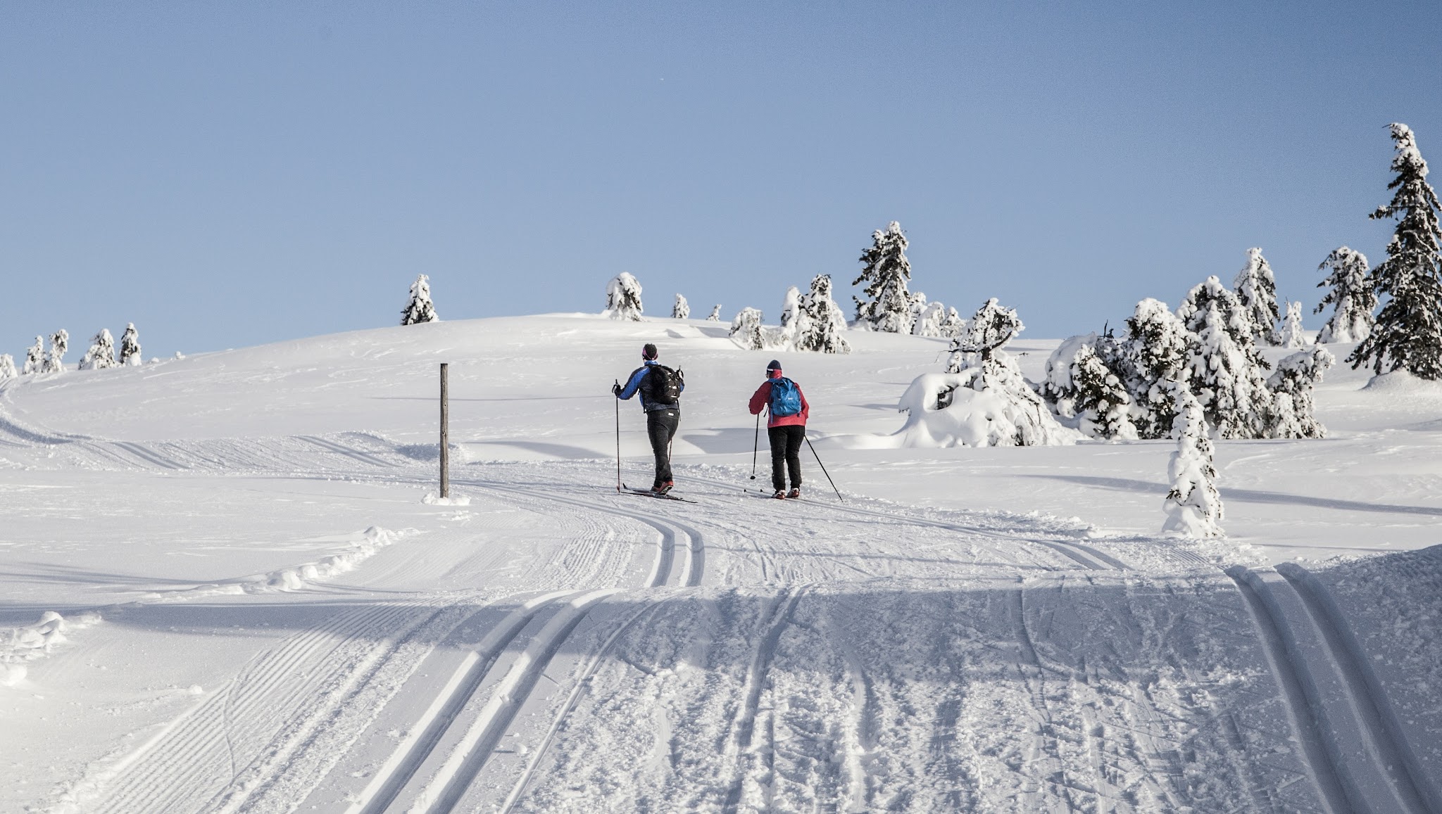 Destinasjon Sjusjøen YouTube banner
