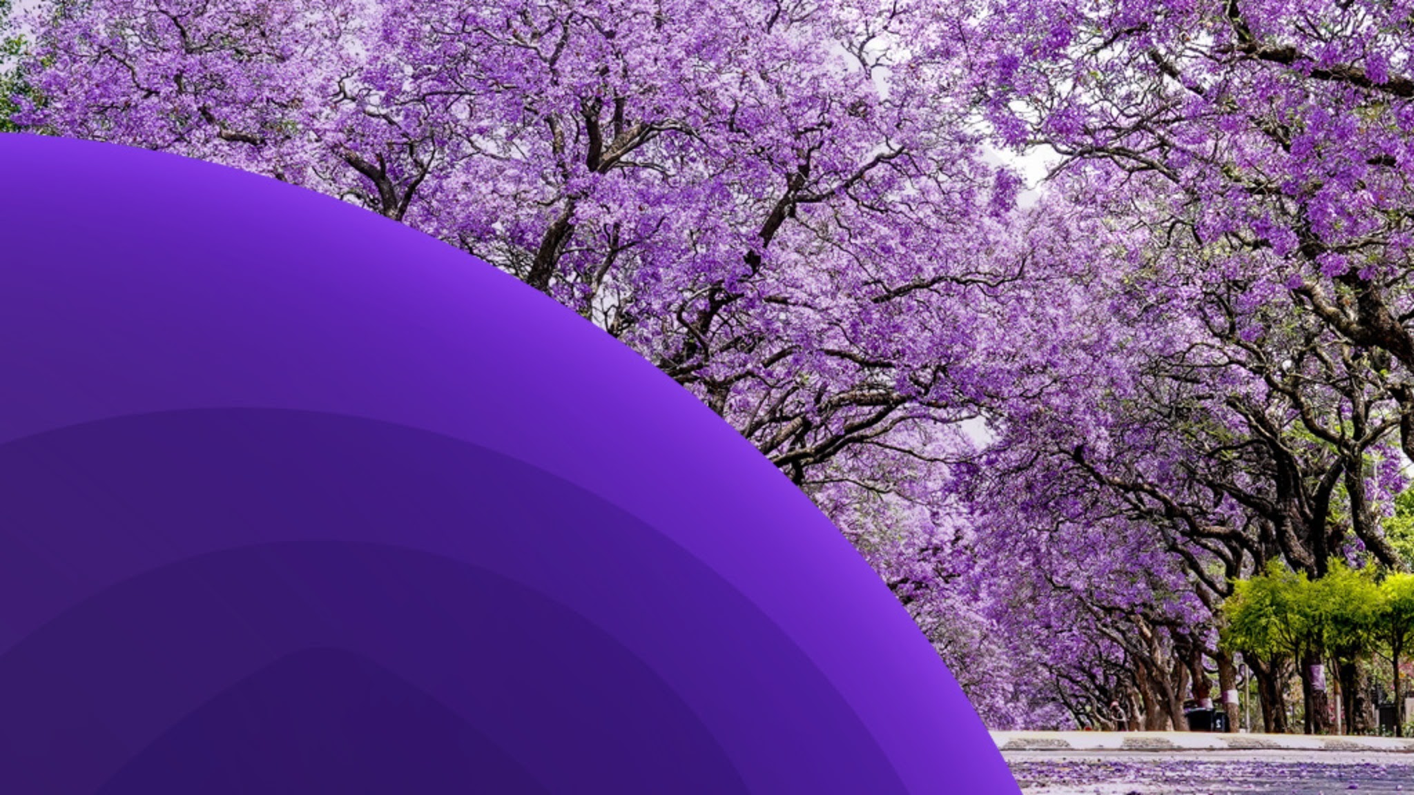 Grant Thornton Argentina YouTube banner