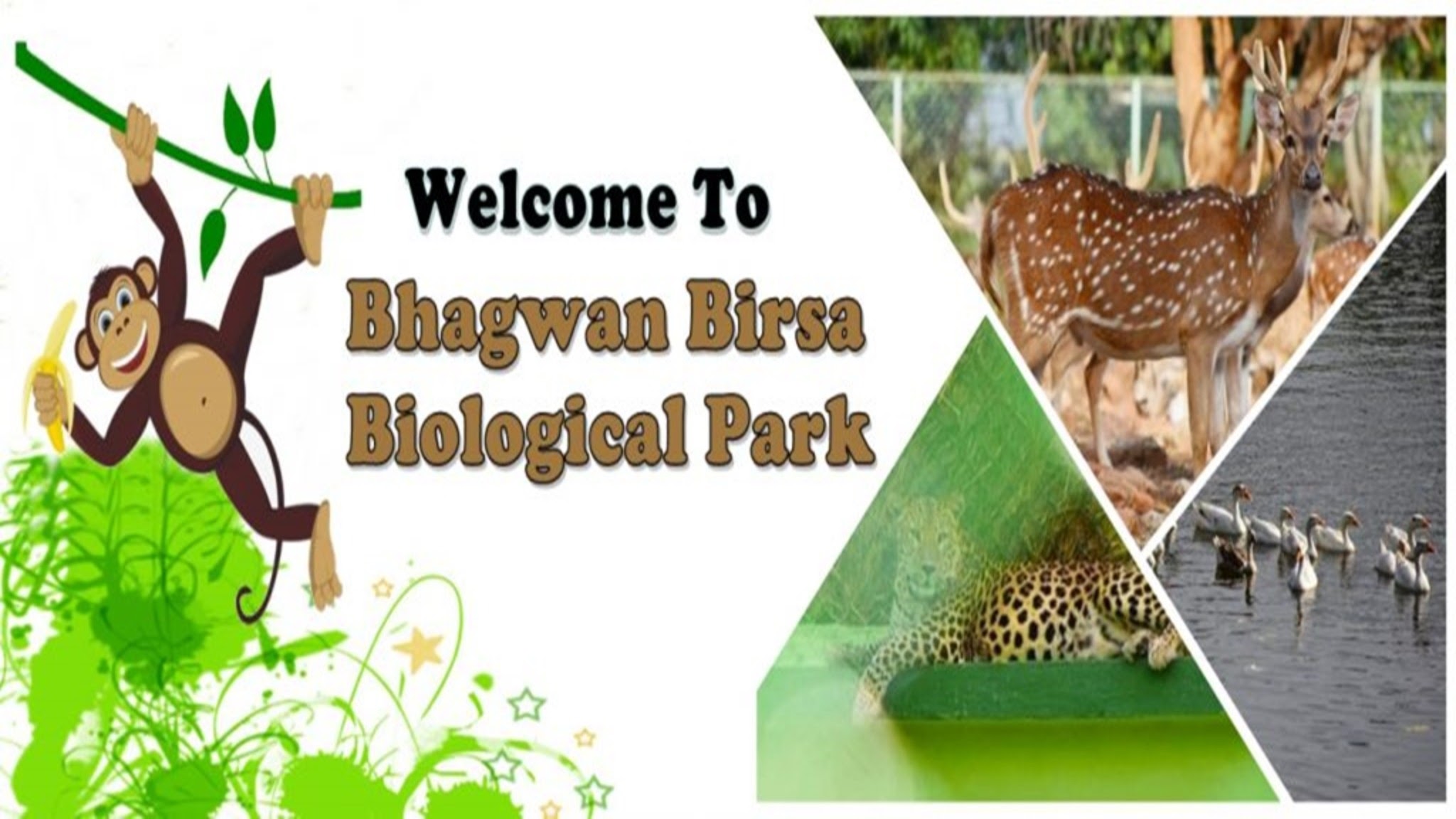 BIRSA BIOLOGICAL PARK, RANCHI YouTube banner