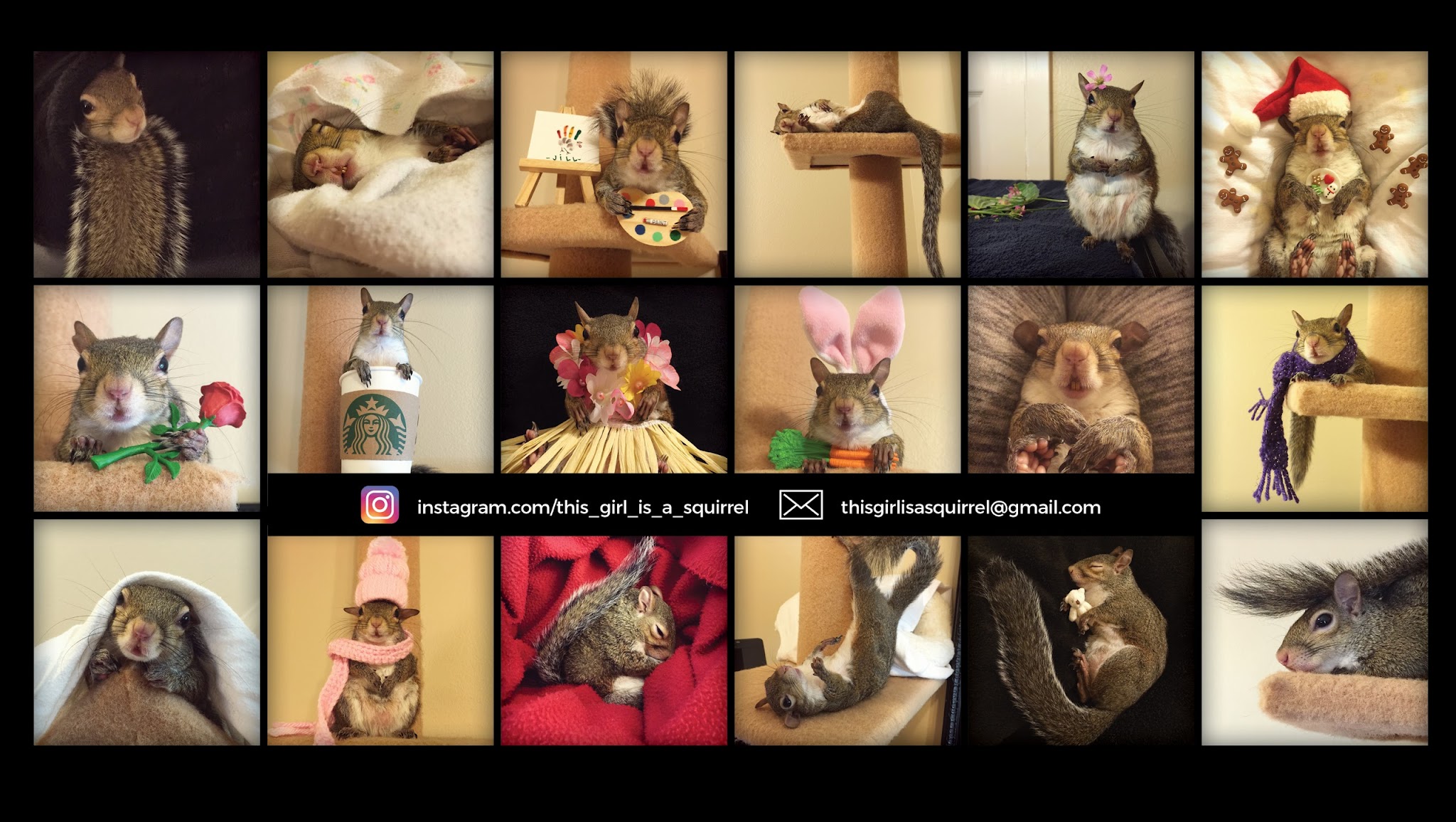 this_girl_is_a_squirrel YouTube banner