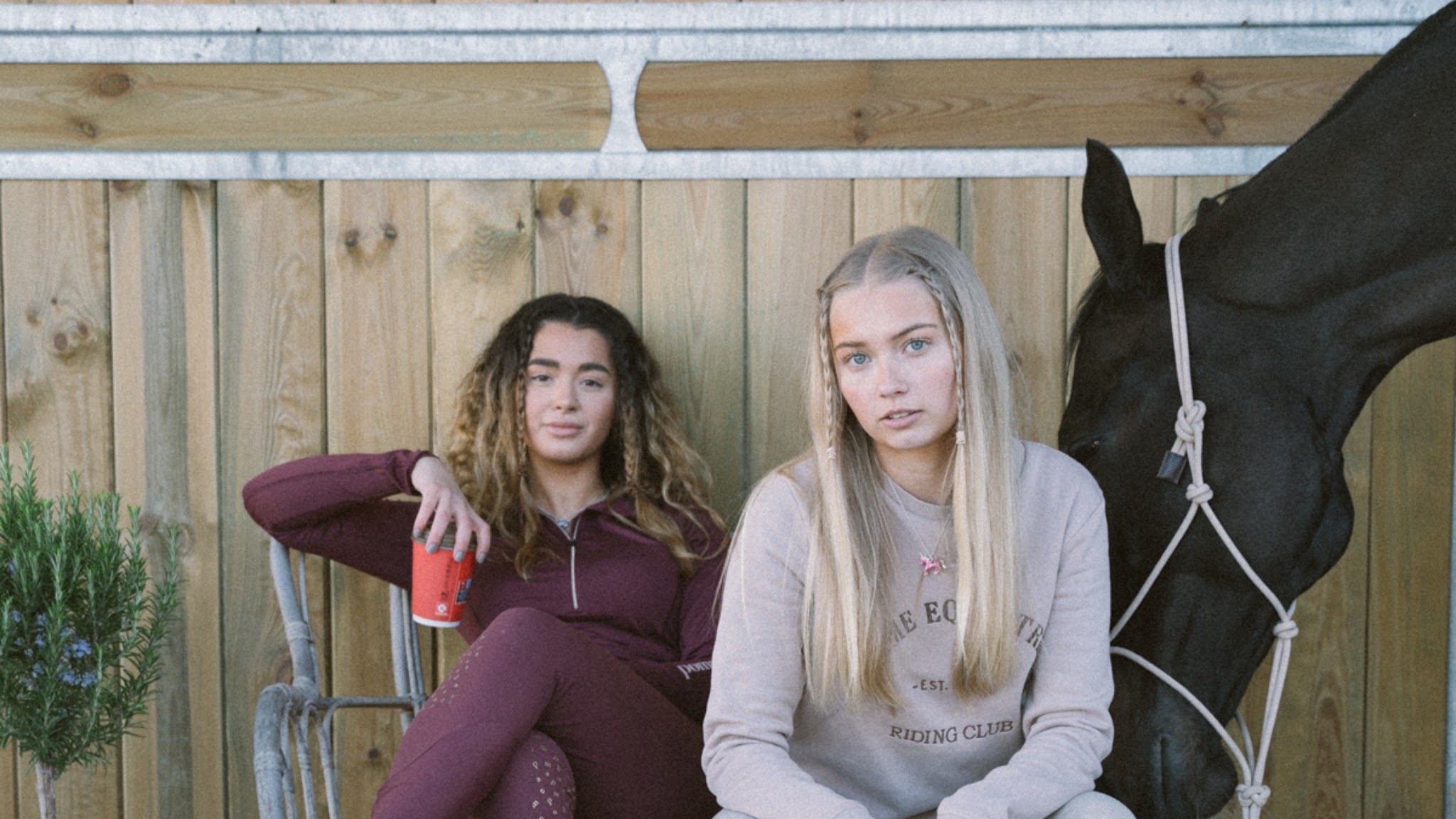 Pomme Equestrian YouTube banner