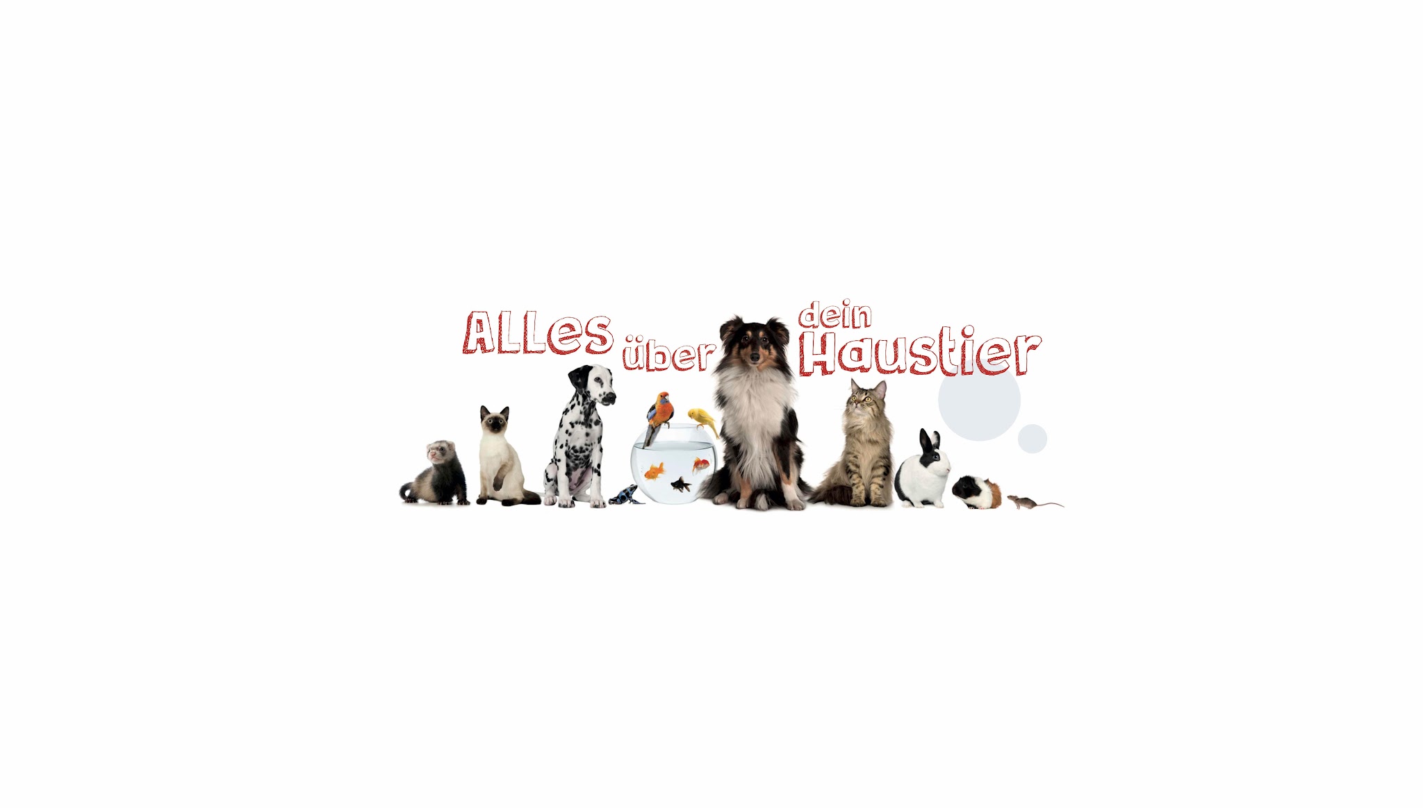 Alles über dein Haustier YouTube banner