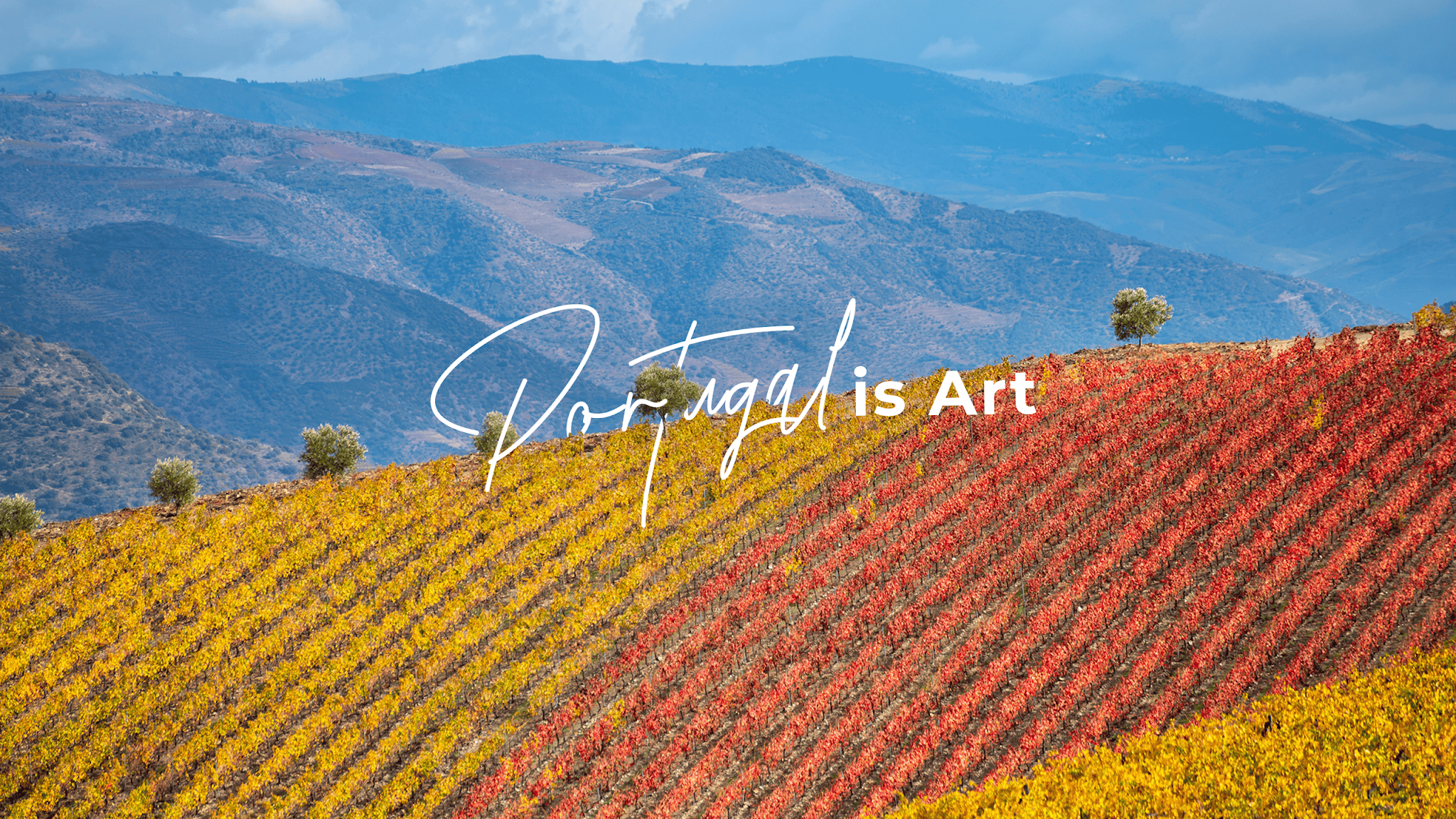 Visit Portugal YouTube banner