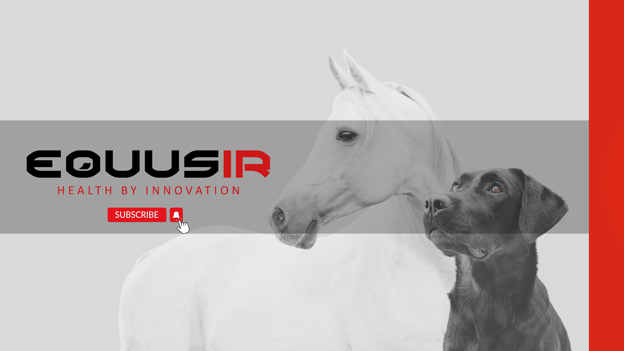 EQUUSIR YouTube banner