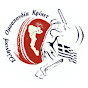 HellenicCricket logo