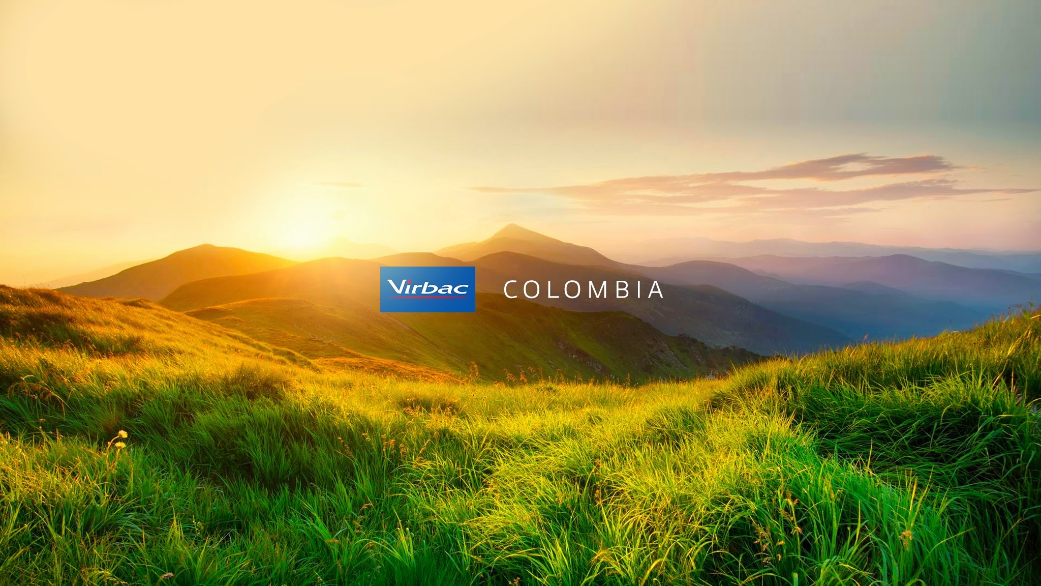 Virbac Colombia YouTube banner