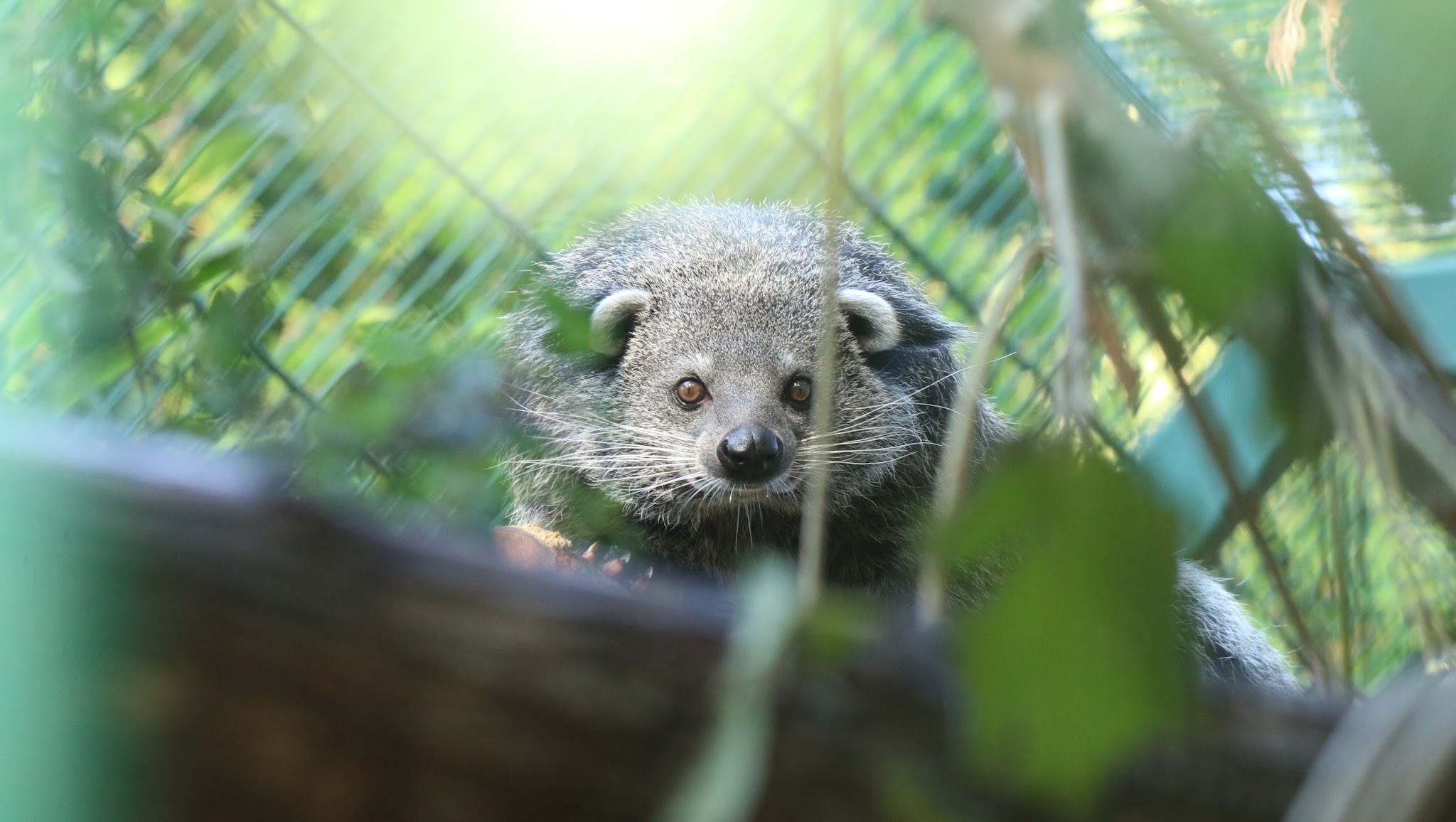 Zoo Gdańsk YouTube banner