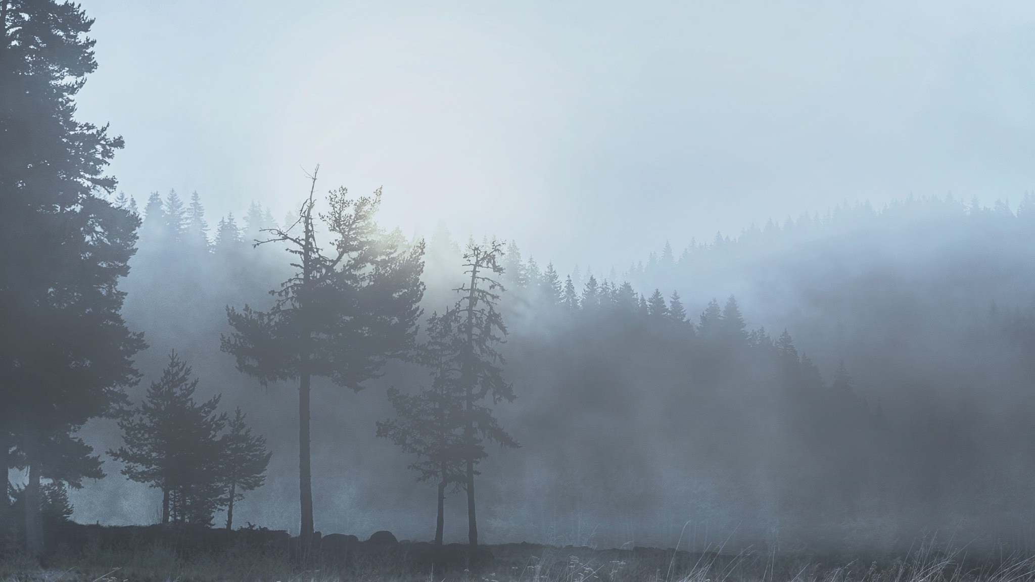 Ammotec Sweden YouTube banner
