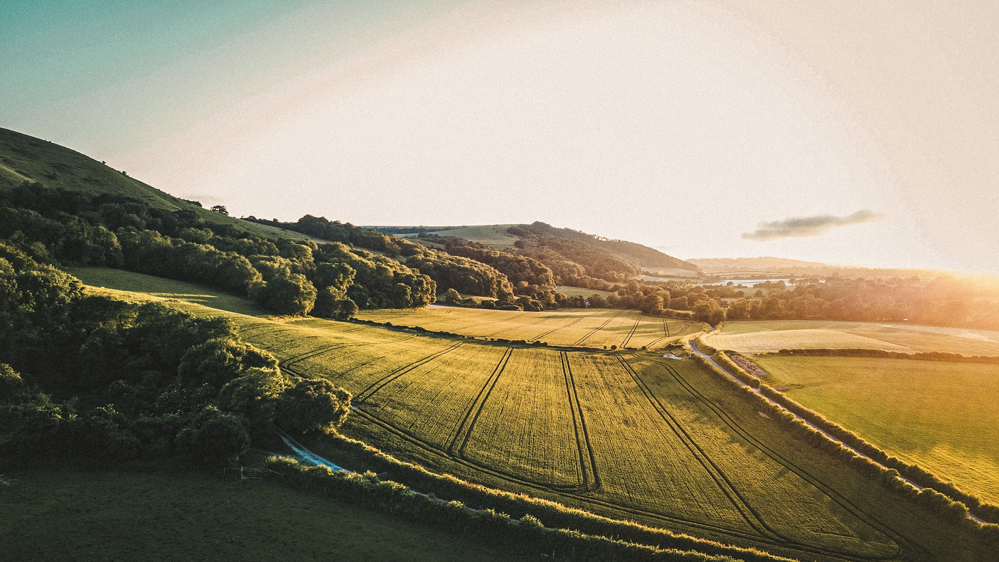 Die Grünen YouTube banner
