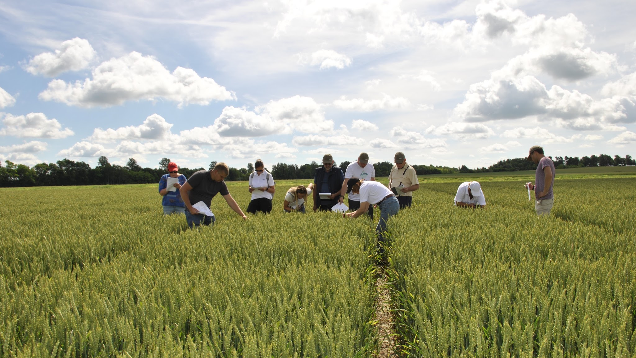 Syngenta Lietuva YouTube banner