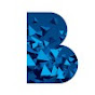Roland Berger The Netherlands logo