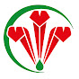 Swim Wales YouTube channel avatar 
