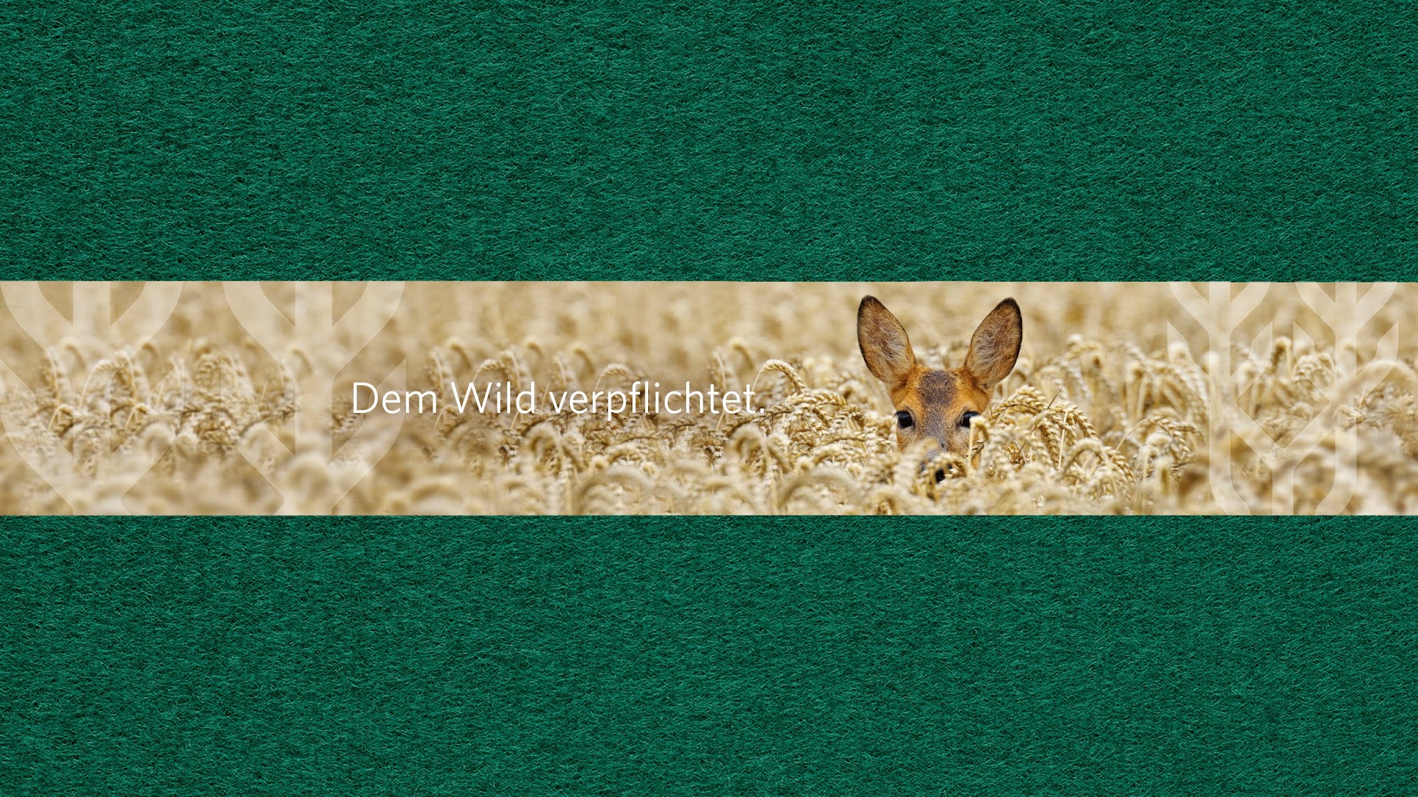 NÖ Jagdverband YouTube banner