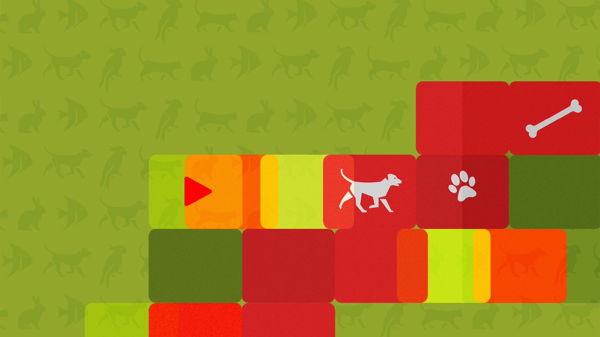 Maxi Zoo Italia YouTube banner