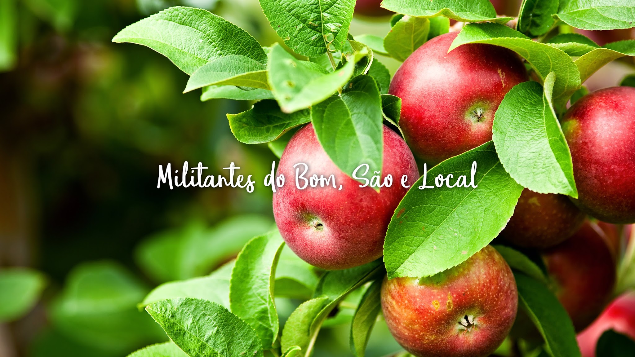 AUCHAN PORTUGAL YouTube banner