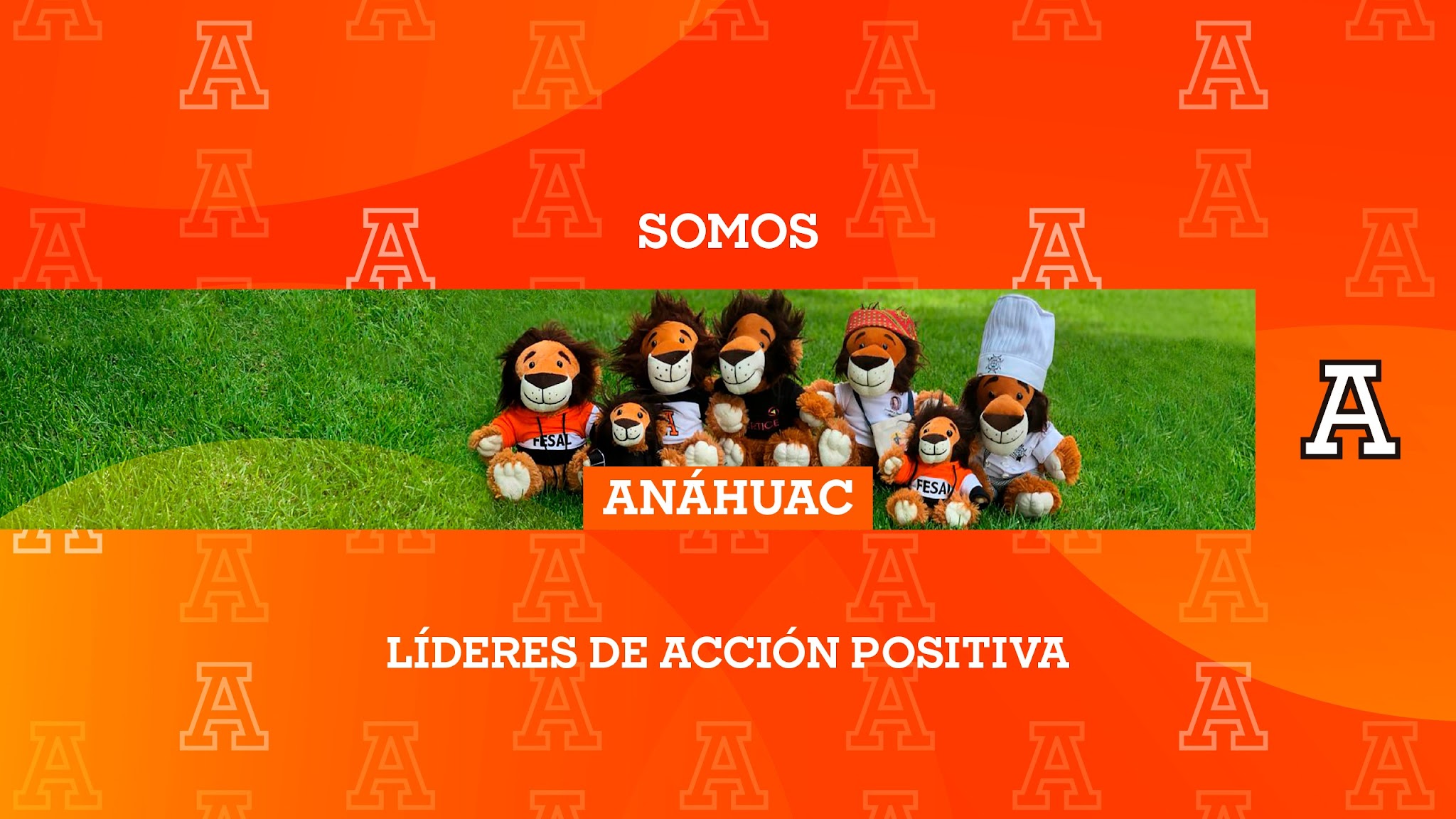 Universidad Anáhuac México YouTube banner
