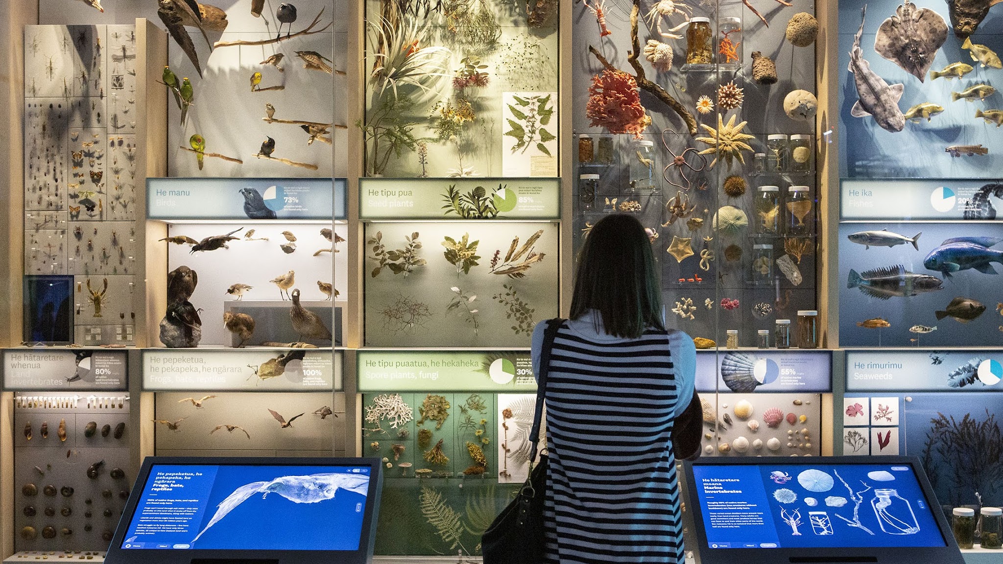Museum of New Zealand Te Papa Tongarewa YouTube banner