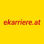 Die Steirischen Elektrotechniker logo
