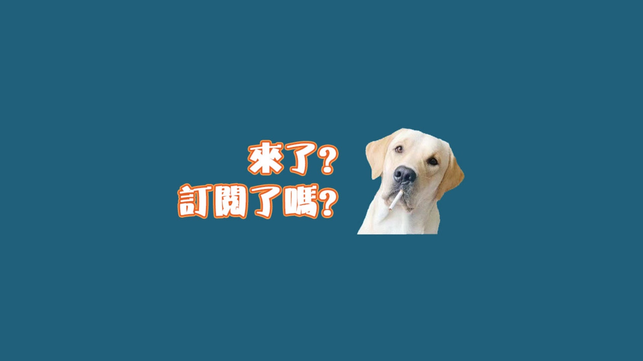 旺仔很忙🐶 Labrador Wangzai YouTube banner