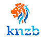 zwemsporttv YouTube channel avatar 