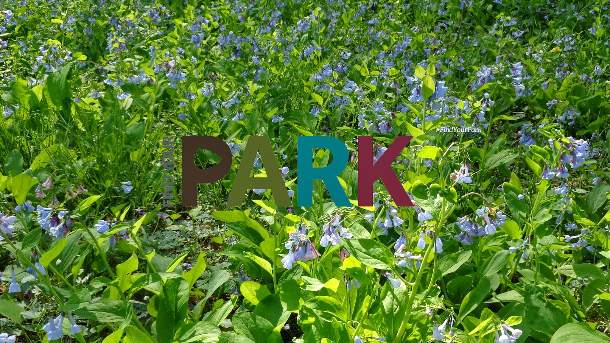 Chesapeake and Ohio Canal NHP YouTube banner