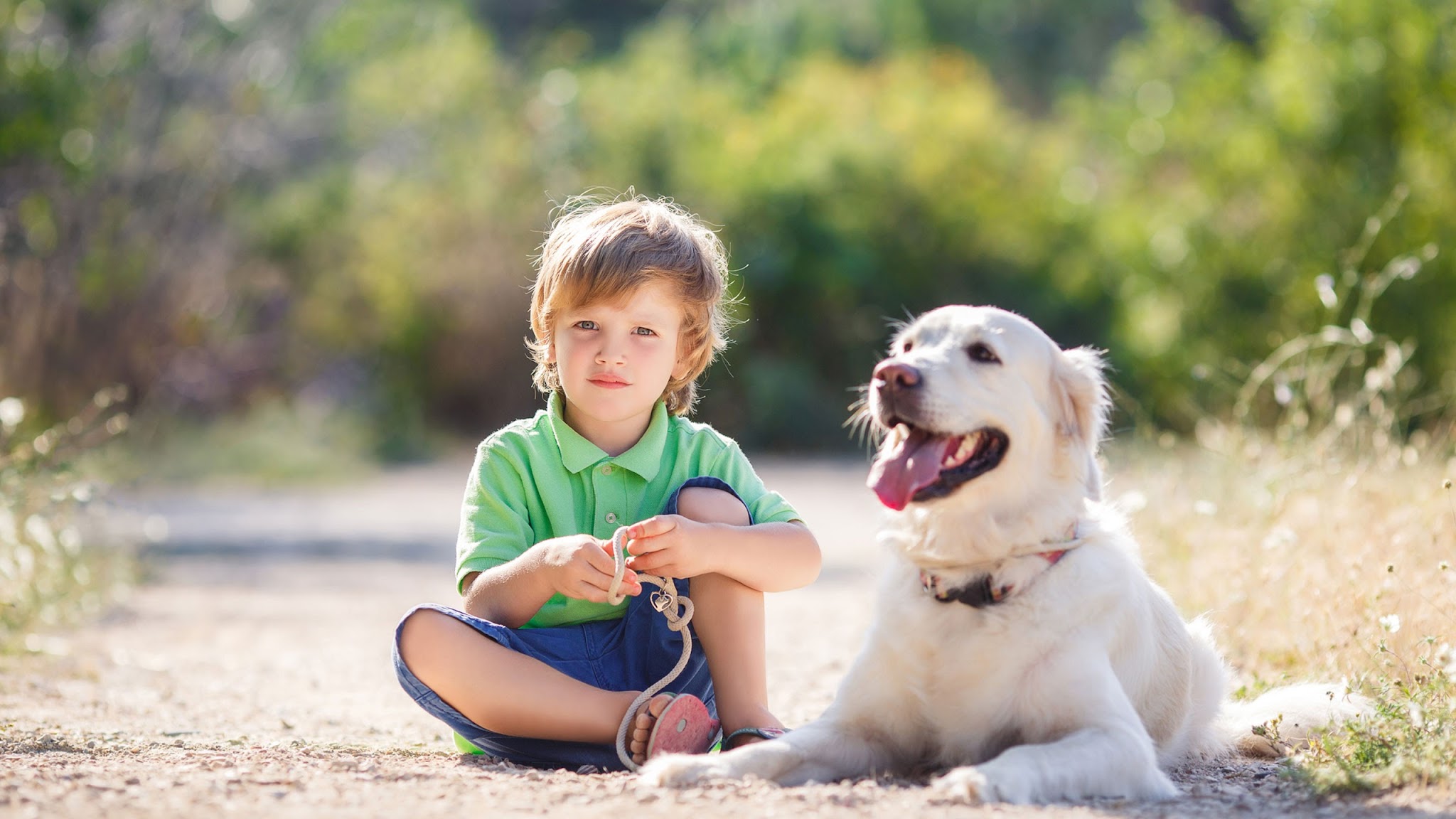 B. Braun Vet Care International YouTube banner