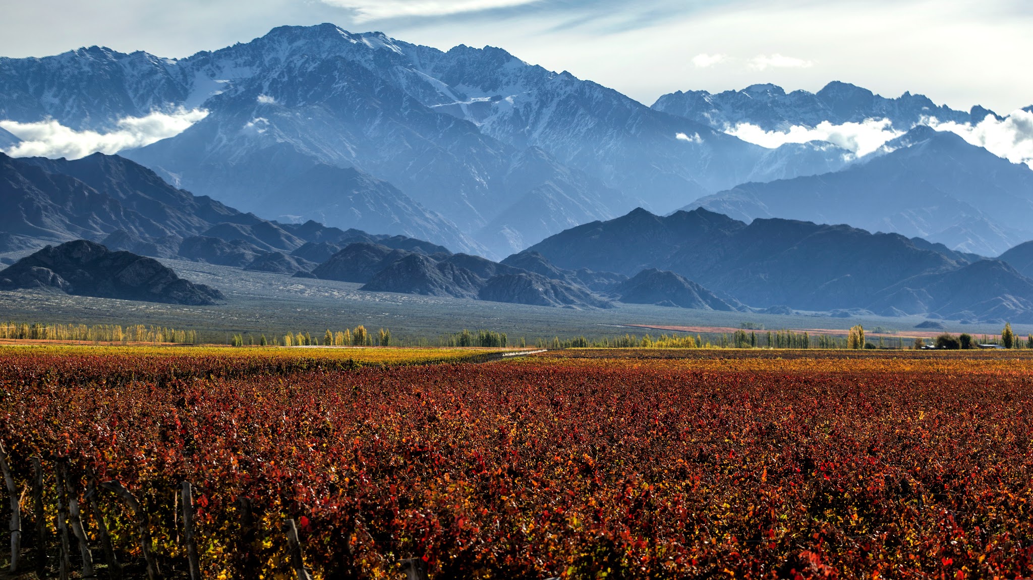 Wines of Argentina YouTube banner
