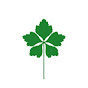 【公式】高知県立牧野植物園 logo
