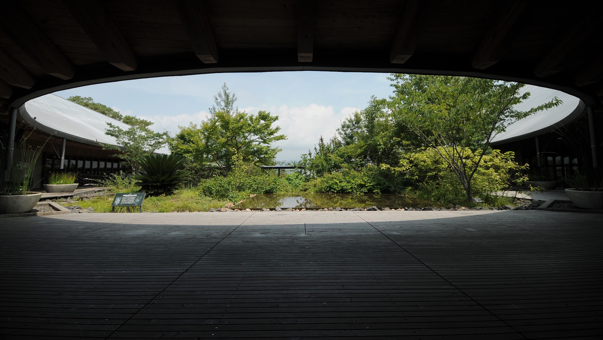 【公式】高知県立牧野植物園 YouTube banner