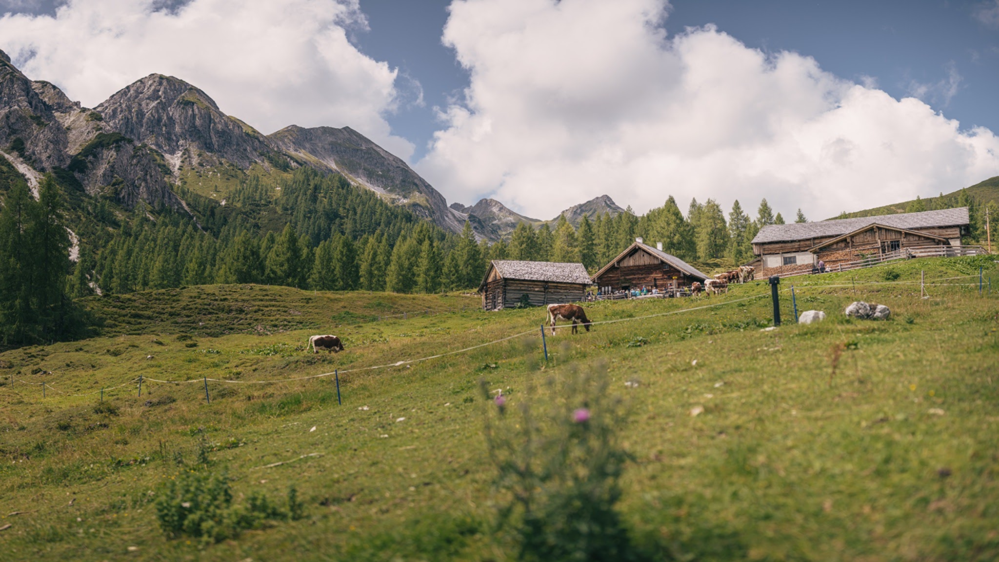 Tourismusverband Altenmarkt-Zauchensee YouTube banner