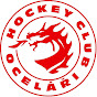 HC Oceláři Třinec logo