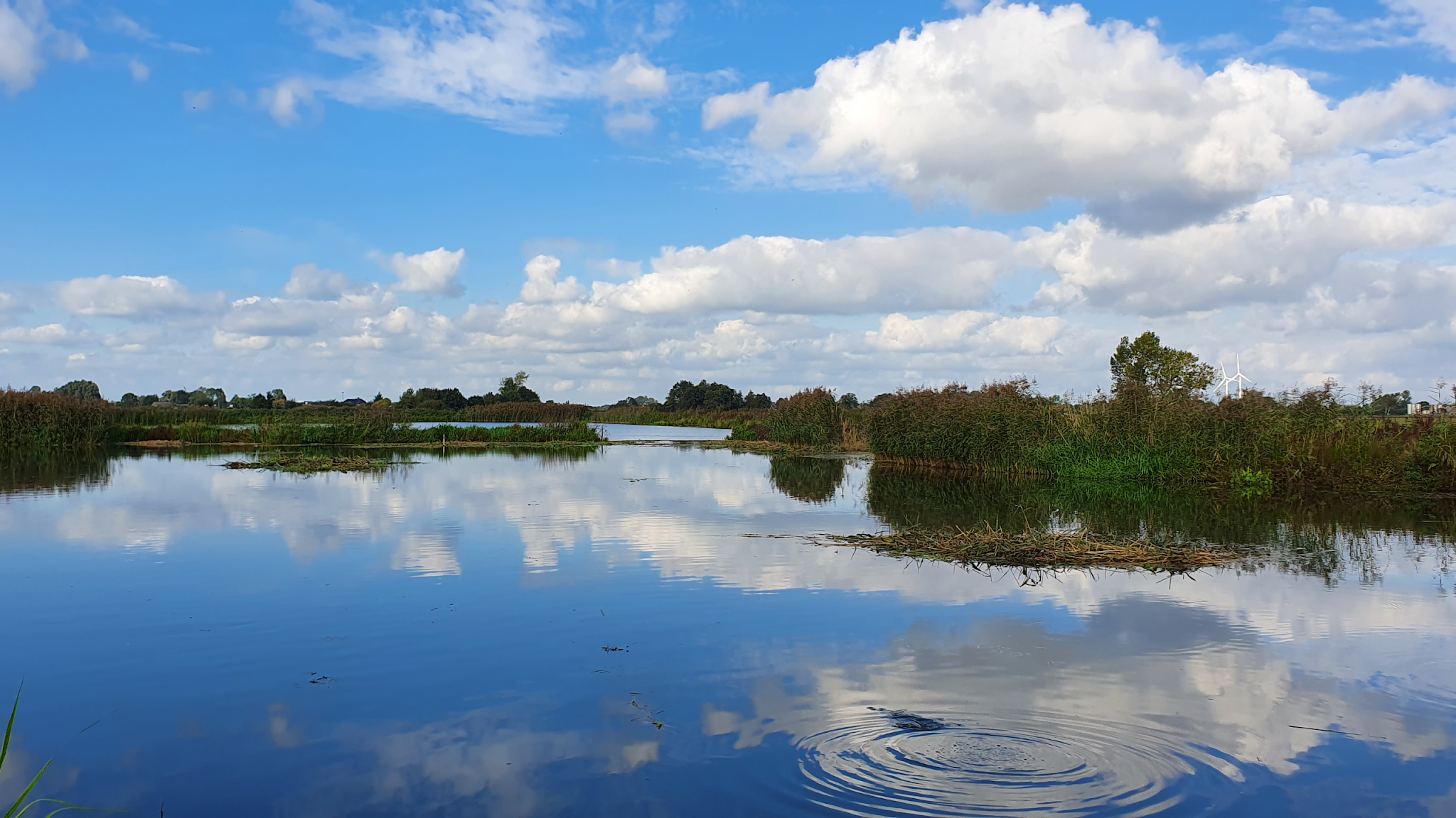 Waterschap Vallei en Veluwe YouTube banner