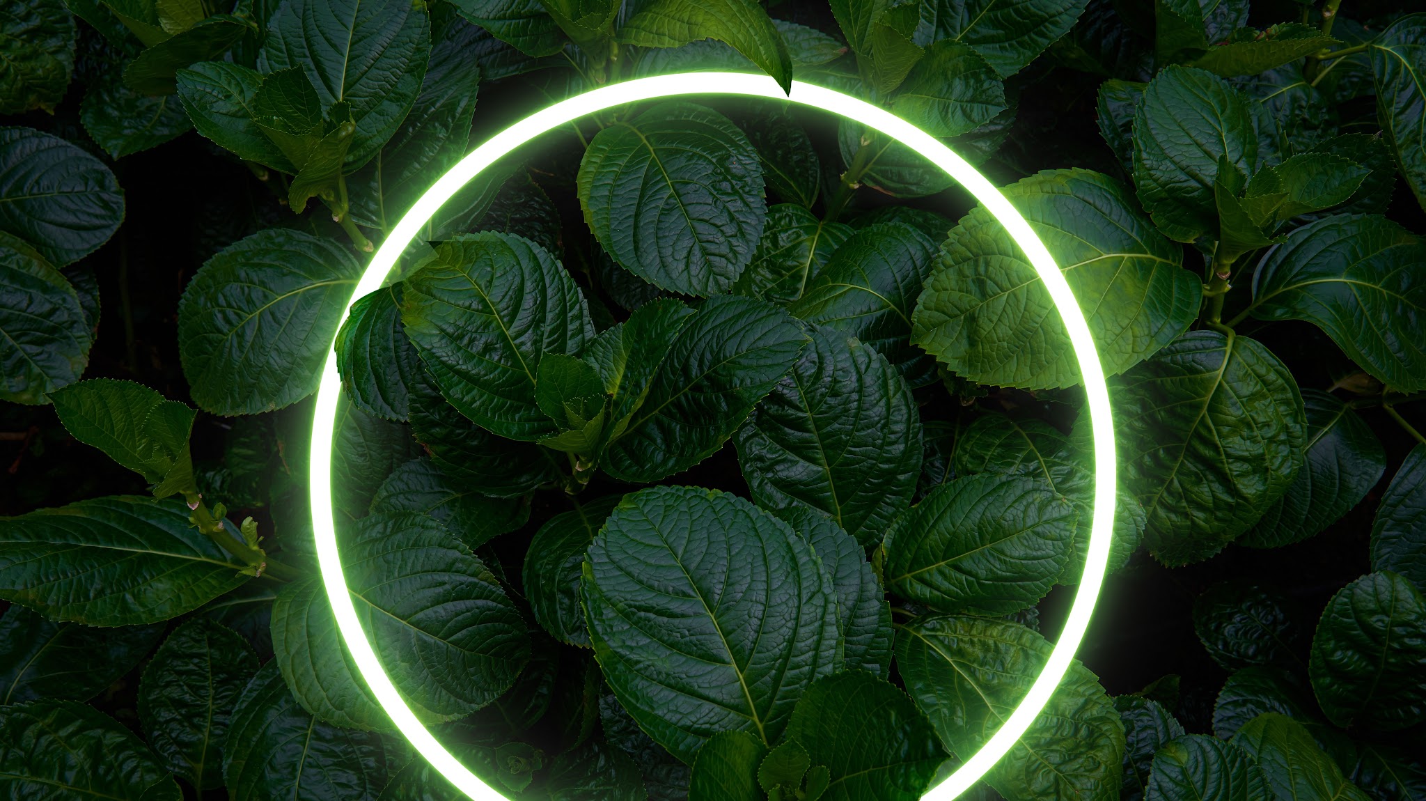 Deloitte Africa YouTube banner