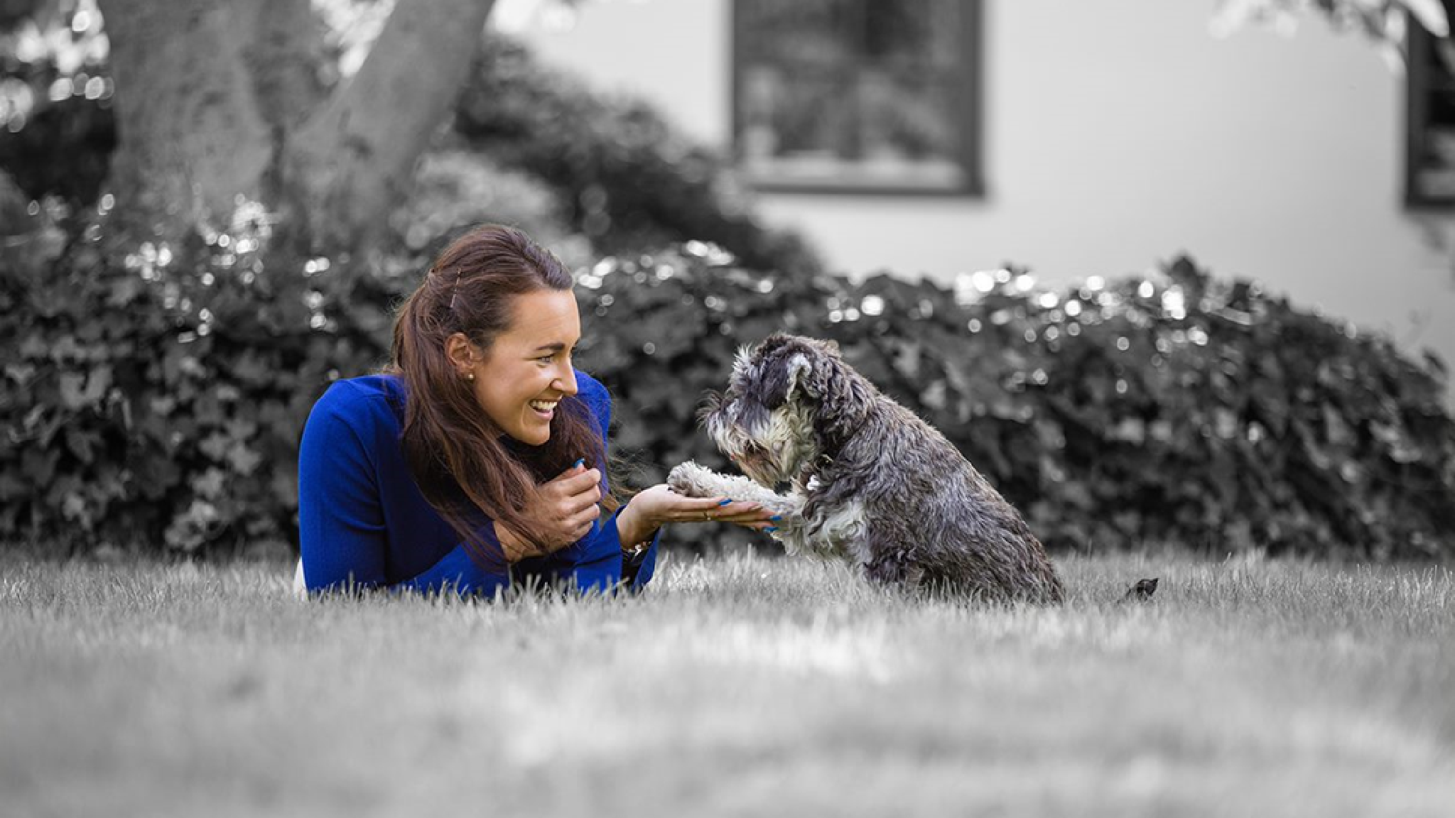 Purina Sverige YouTube banner