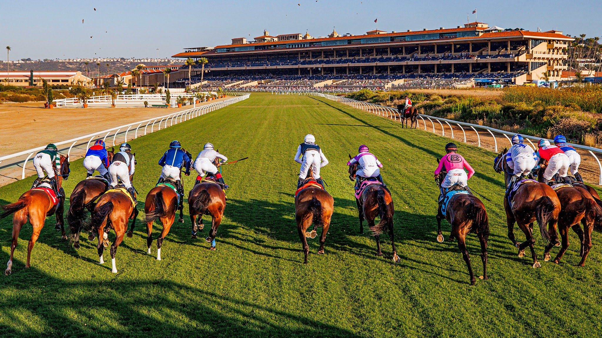 Del Mar Racing YouTube banner