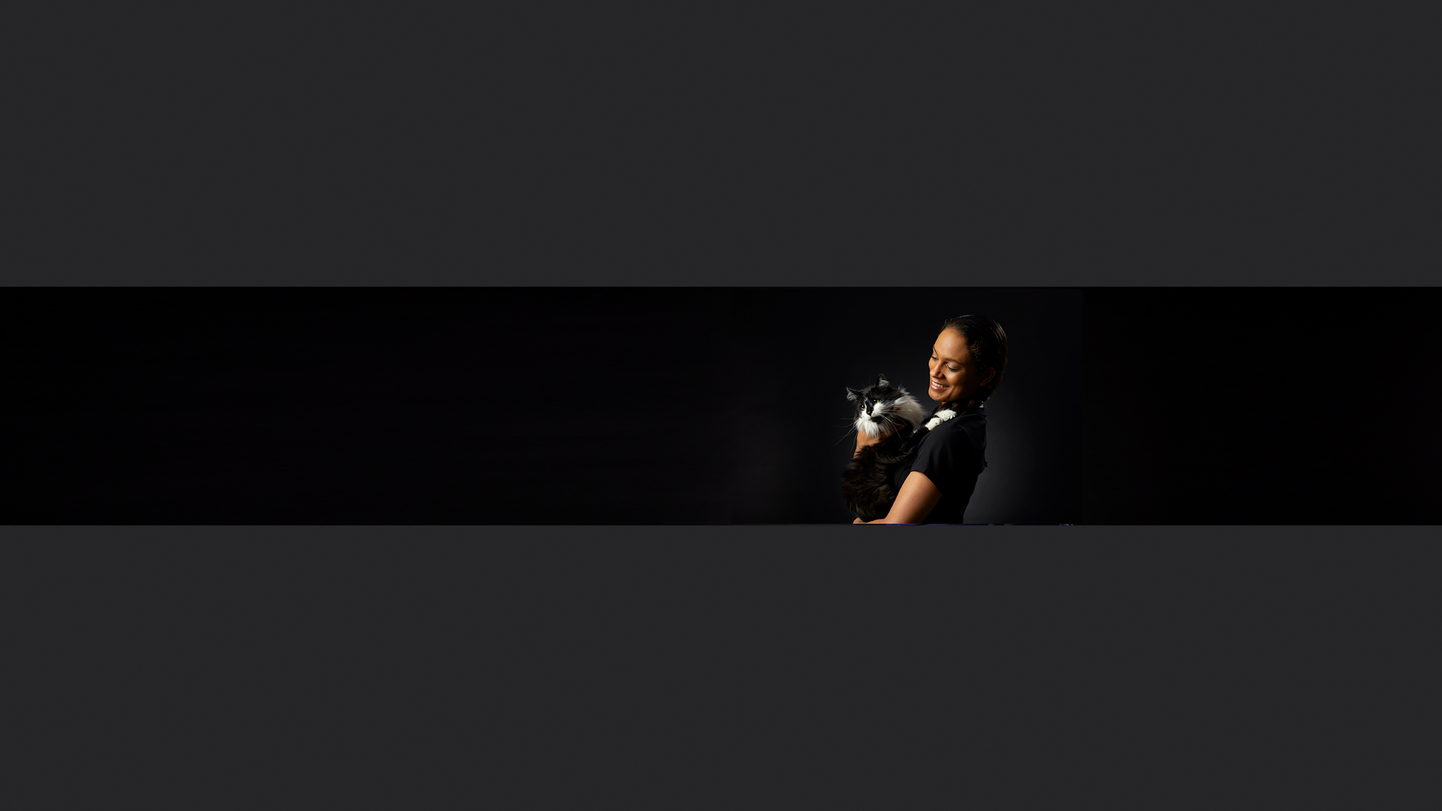 Midmark Animal Health YouTube banner