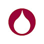 Chemitec Srl logo