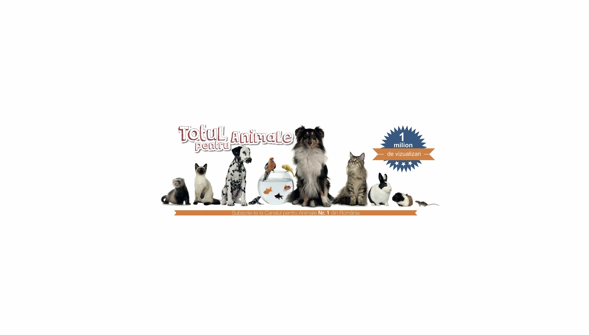 Totul pentru animale YouTube banner