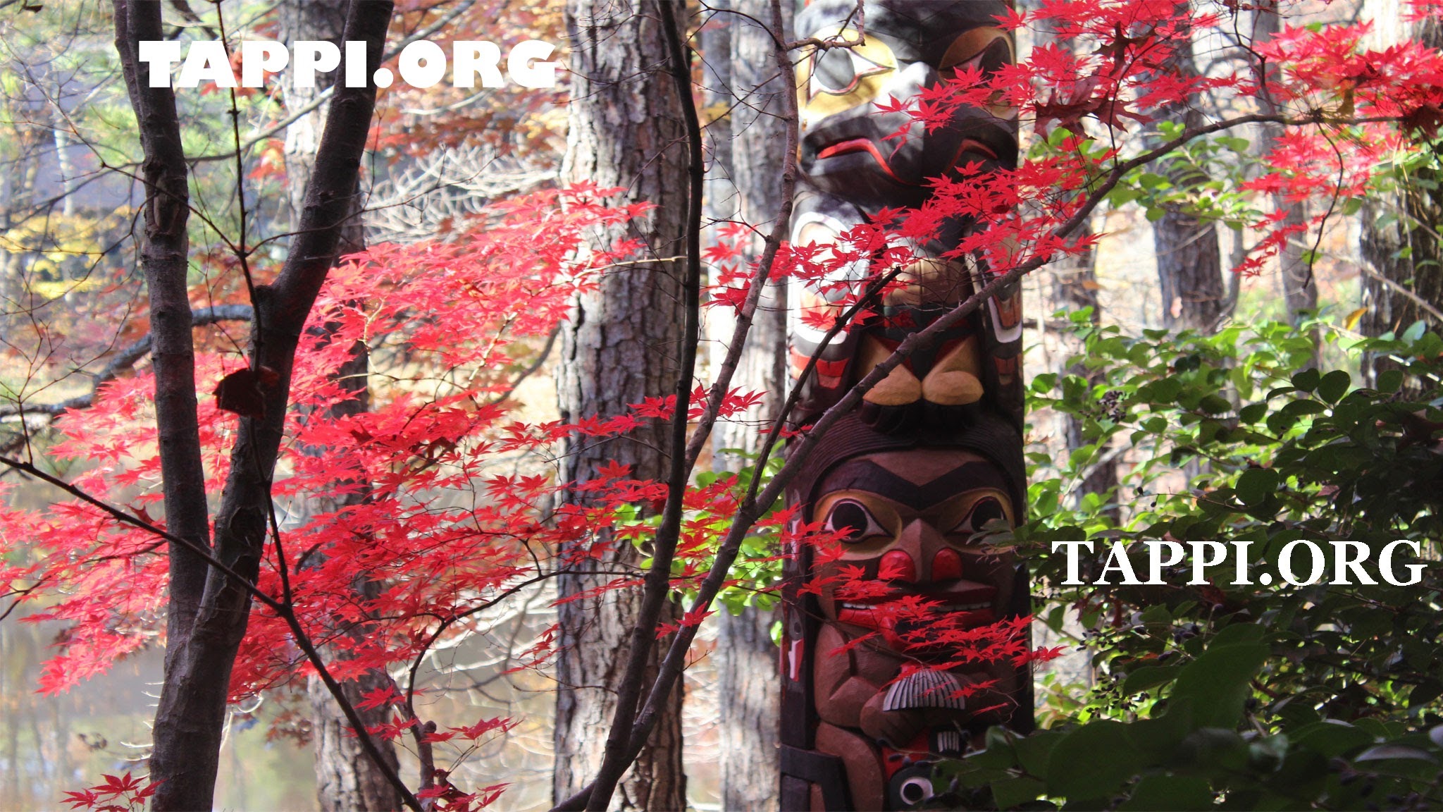 TAPPI YouTube banner