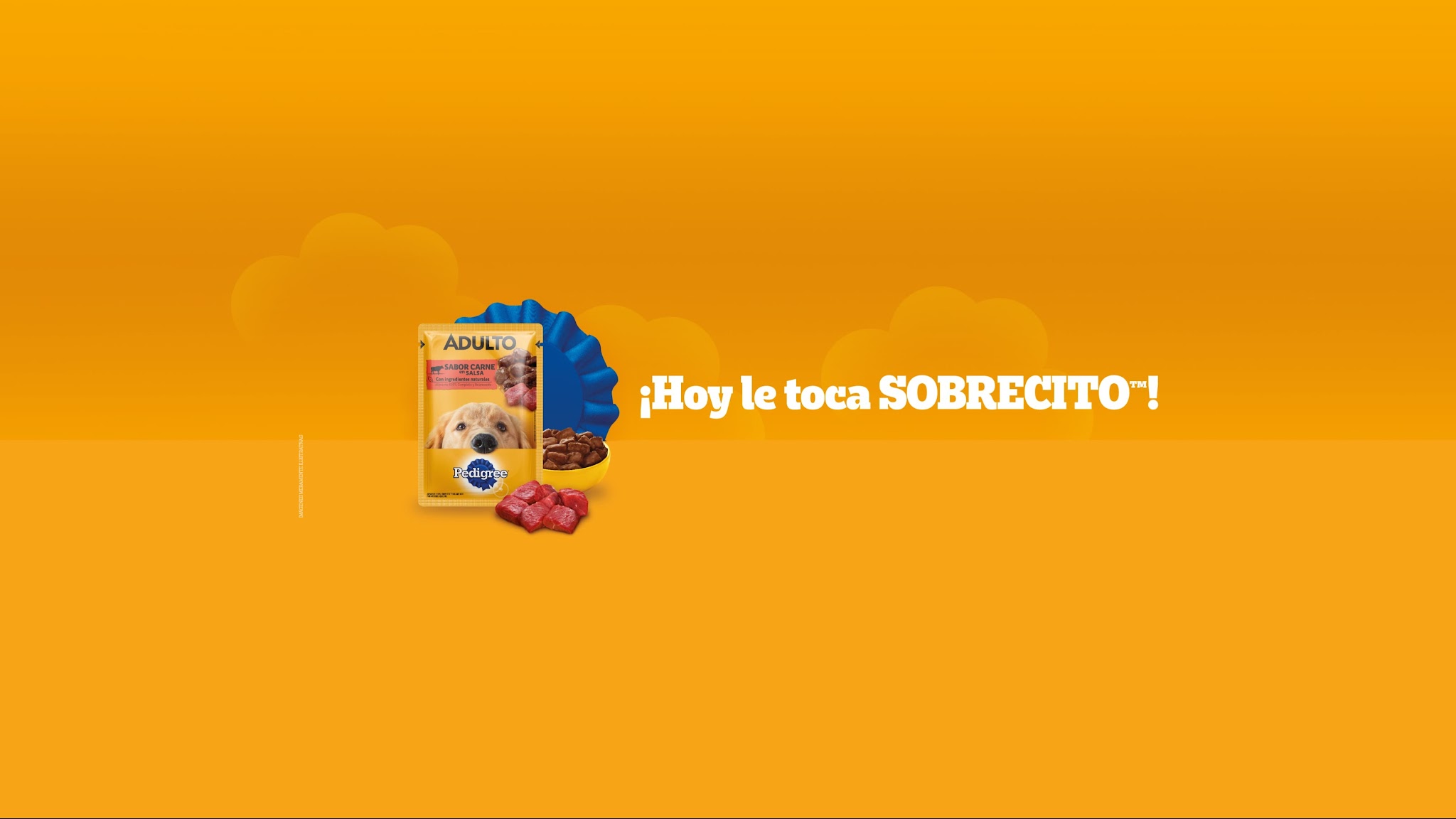 pedigreeargentina YouTube banner