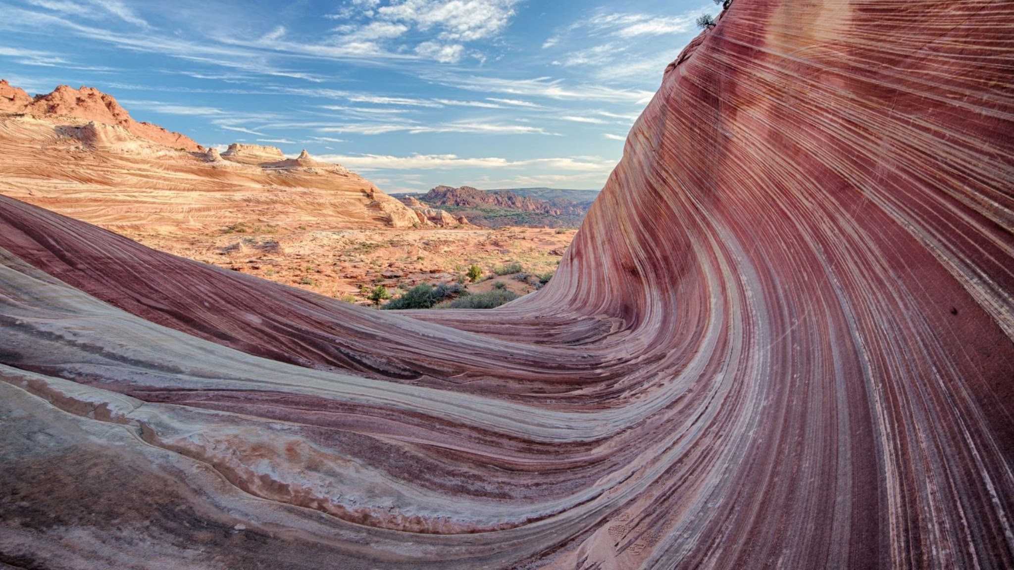 BLM Arizona YouTube banner